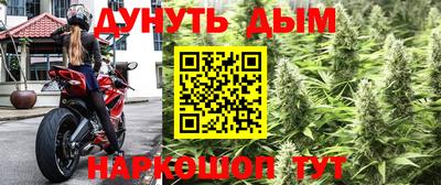 эйфоретик Кингисепп