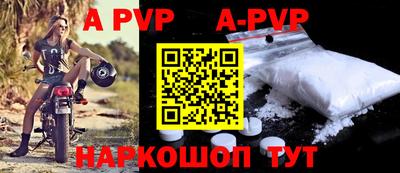 эйфоретик Кингисепп
