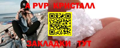 эйфоретик Кингисепп