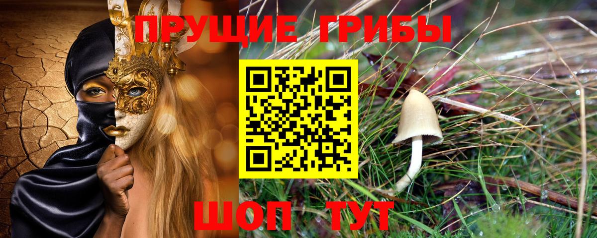 Псилоцибиновые грибы Magic Shrooms  Галлюциногенные грибы мицелий  Котельники  Вход с VPN 